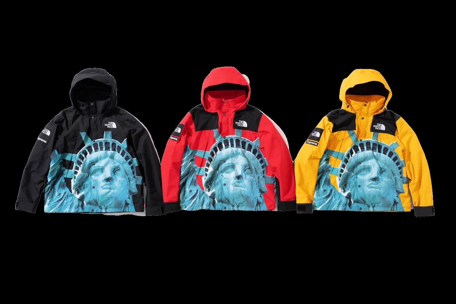 Supreme®/The North Face® Statue of Liberty Mountain Jacket